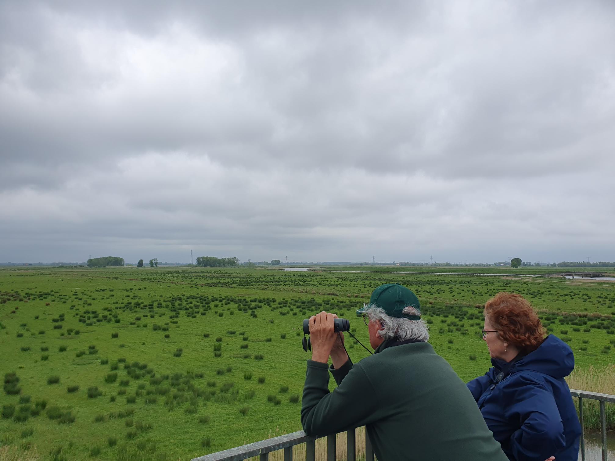 Vogelaars (Biesbosch). Foto van Johan Meijer.
